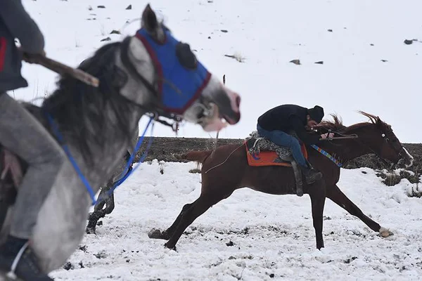 Cirit atlarının 'kar üstündeki dansı' başladı