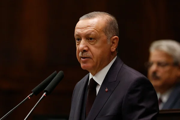 Cumhurbaşkanı Erdoğan: Ne kadar örgüt varsa hepsini tepeledik