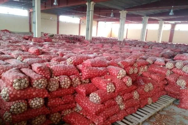 Depoda stoklanmış bin 300 ton kuru soğan çıktı