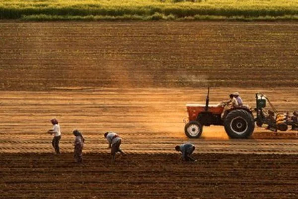 Destekleme ödemeleri ne zaman? Tarım destekleri ne zaman ödenir?
