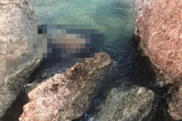 Didim'de, deniz kenarındaki kayalıklarda kadın cesedi bulundu