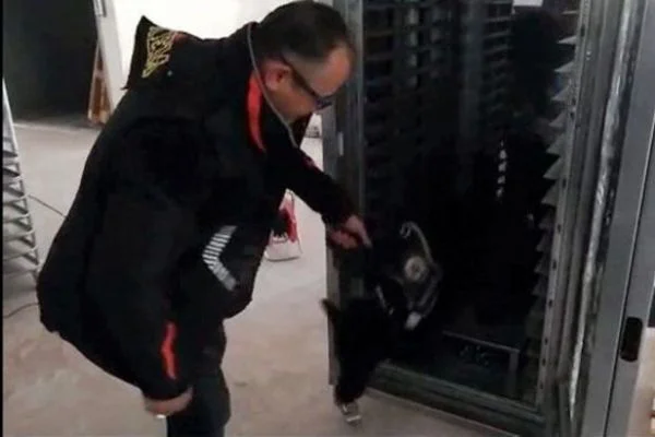 Gaziantep'te simit fırınına gizlenmiş 320 bin uyuşturucu hap ele geçirildi!