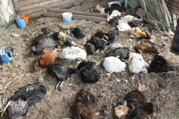 Gördüğü manzara karşısında şoke oldu