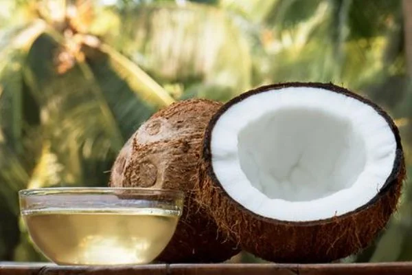 Hindistan cevizi yağı'nın faydaları