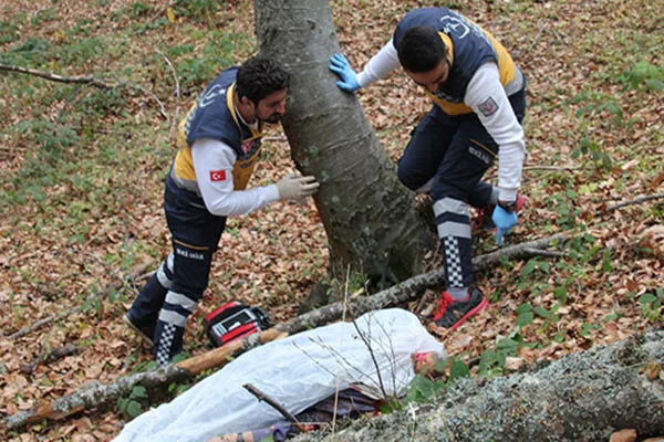 Kestiği ağacın dalı başına saplanan yaşlı adam hayatını kaybetti