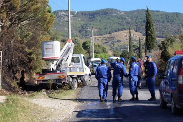 Kozalak toplarken elektrik akımına kapıldı