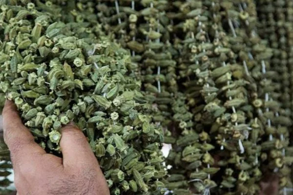 Kuru Bamya fiyatı dudak uçuklatıyor