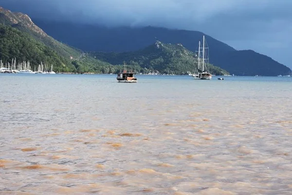 Marmaris'te denizin rengi değişti
