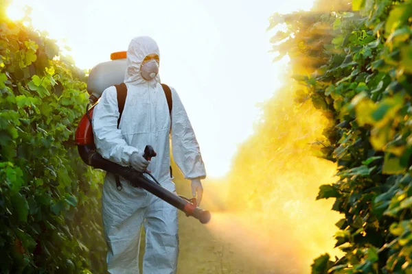 Pestisitler: Fransa'da metam-sodyum ürünleri tamamen yasaklandı