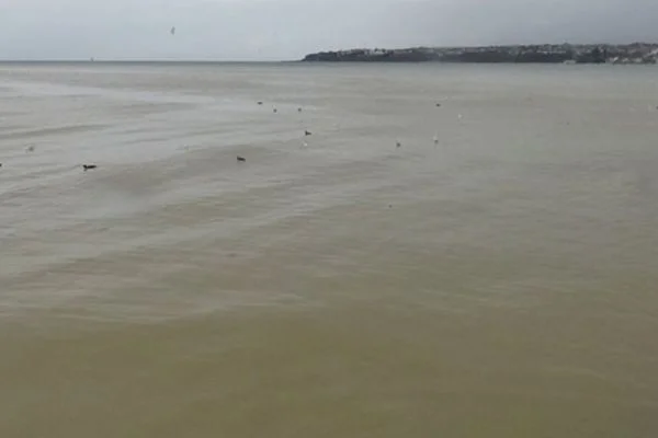 Silivri'de Marmara Denizi kahverengi oldu