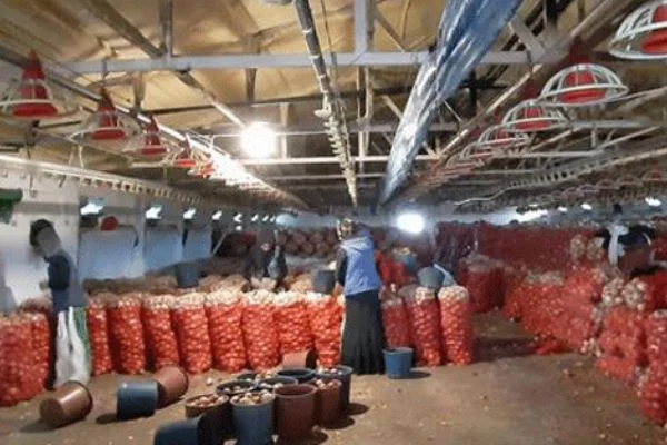 Soğan stokçularına baskın! Tonlarca soğan ele geçirildi