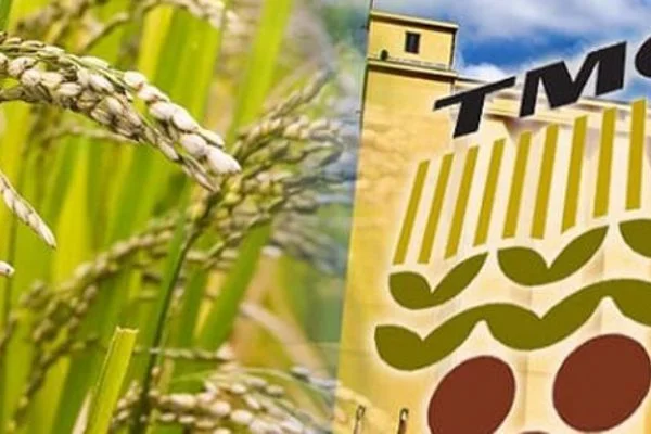 TMO 240 bin ton buğday, 75 bin ton arpa alacak