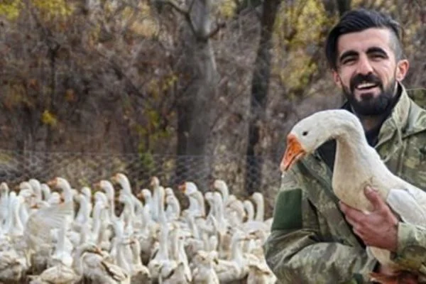 Üniversiteyi bitirdi iş bulamayınca kaz çiftliği kurdu
