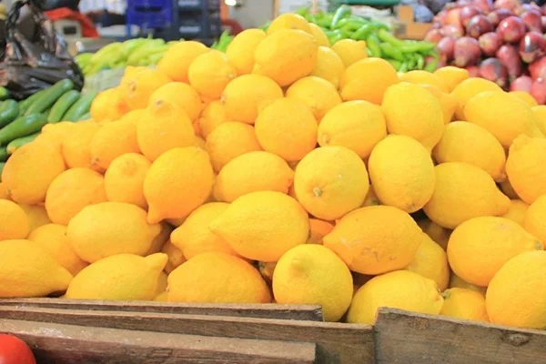 460 ton limon, 30 ton kayısı, 17 ton çilek ihtilaf ve karantinaya takıldı