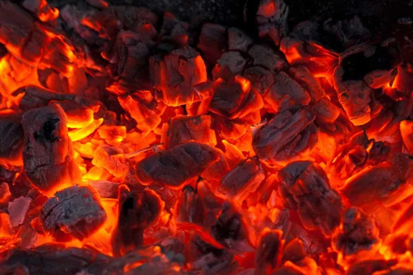 Ankara'da karbonmonoksit gazından 5 kişi zehirlendi