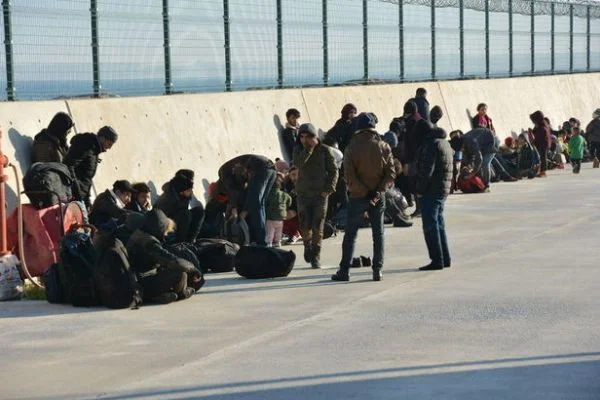 Aydın'da 136 kaçak göçmen yakalandı