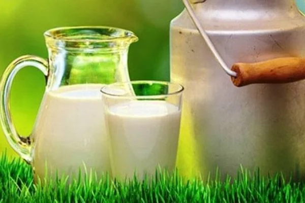 Bakan Pakdemirli'den süt üreticilerine müjde!