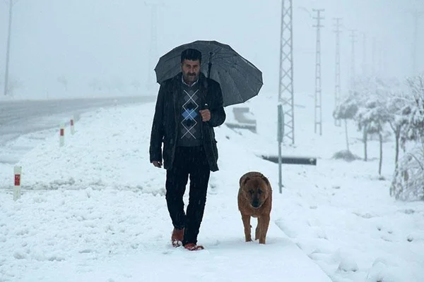 Batıda sağanak, doğuda kar bekleniyor