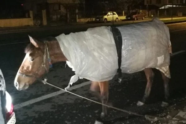 Bursa'da ilginç görüntü