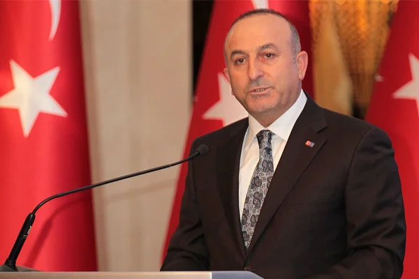 Çavuşoğlu: Bunun acısını çekecekler