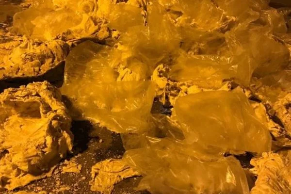 Erzincan'daki 1 tonluk eroinle ilgili iş adamına gözaltı