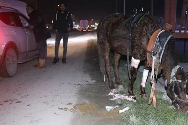 Hastaneye gitmeyi reddetti! Bir saniye olsun yalnız bırakmadı...