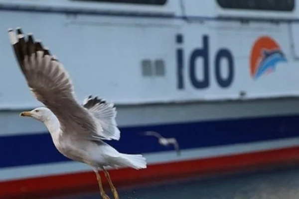 İDO'dan sefer iptalleri