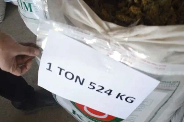 İpsala Sınır Kapısı'nda 1,5 ton esrar ele geçirildi!