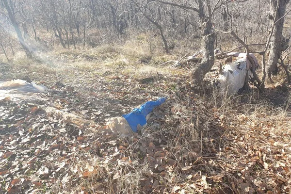 Irak'ın kuzeyinde teröristlerin barındığı yerler imha edildi