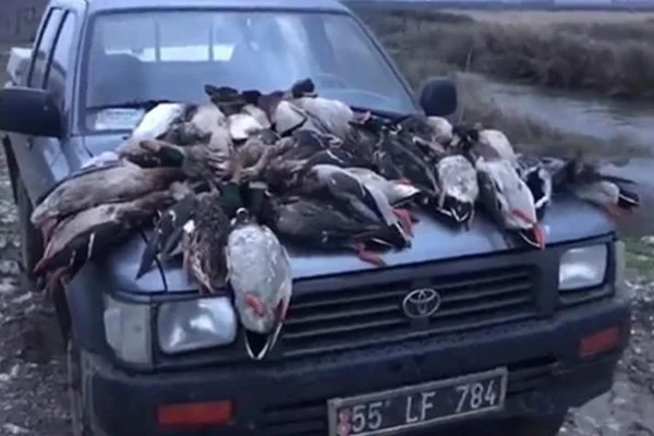 Kuş cennetinde tepki çeken görüntü