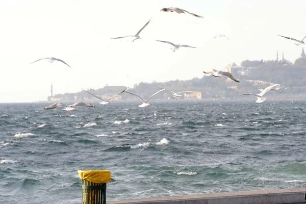 Marmara'da sıcaklık artacak