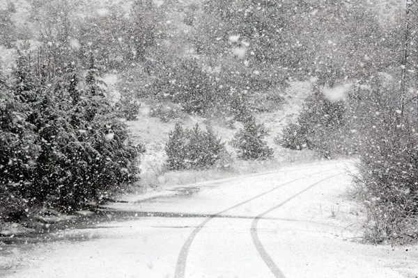 Meteoroloji'den yağmur ve kar uyarısı