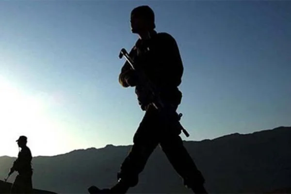 Muş'ta 2 PKK'lı güvenlik güçlerine teslim oldu