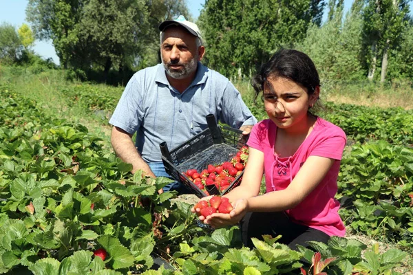 Orman köylüsüne 2,1 milyar liralık destek verildi