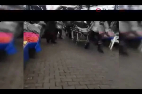 Pazara giden kadın başından vuruldu