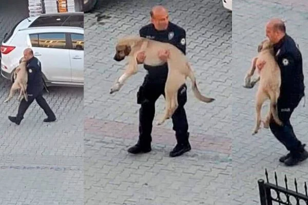Polis memuru, yaralı köpeği kucağında veterinere götürdü