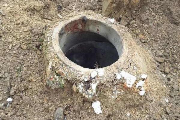 Rögara düşen at böyle kurtarıldı