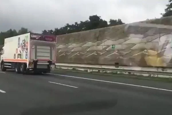 Saatte 100 km hızla uçan güvercin, arabalarla yarıştı