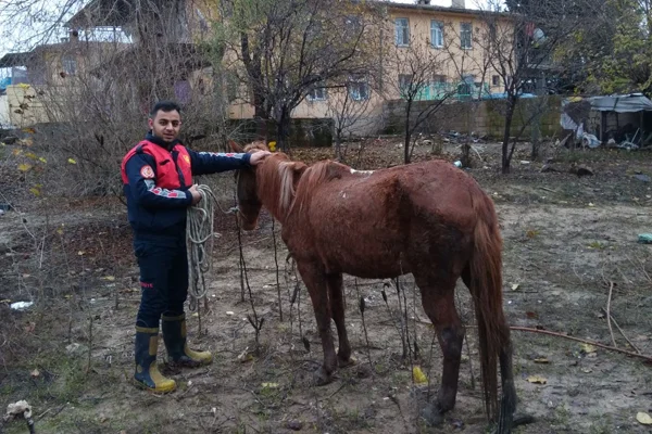 Şanlıurfa'da menfeze sıkışan 2 at kurtarıldı