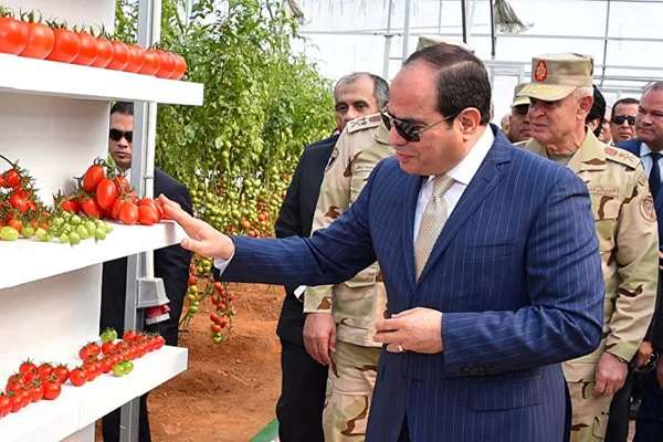 Sisi, şişmanları azarladığı suçlamalarını reddetti: Kendi ailemi nasıl aşağılayabilirim?