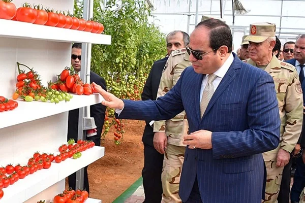 'Sisi, şişmanları hapse atacak'