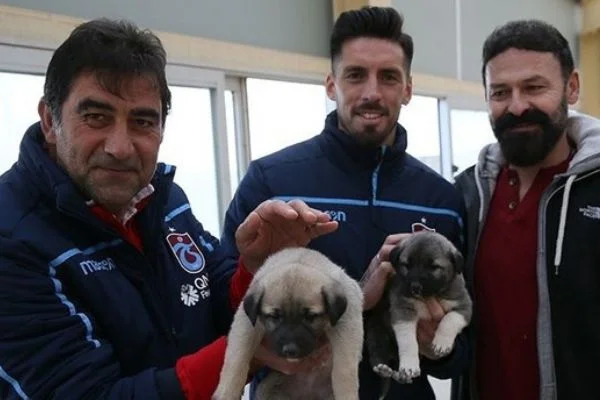 Ünal Karaman ve Sosa, kangal çiftliğini ziyaret etti