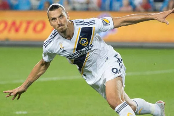 Zlatan Ibrahimovic'in sözleşmesi 1 yıl uzatıldı!