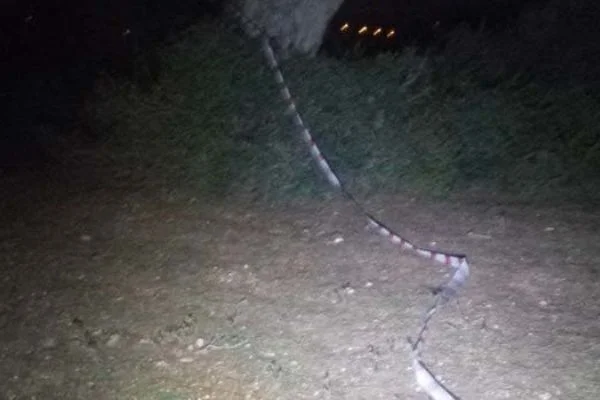 Adana'da toprağa gömülü kadın cesedi bulundu