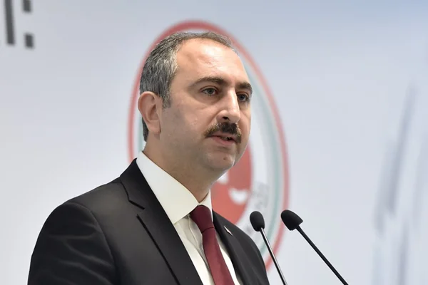 Bakan Gül'den 'Palu ailesi' açıklaması
