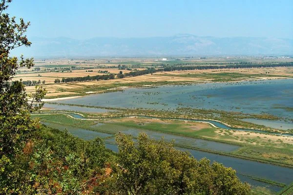 Büyük Menderes nehri taştı