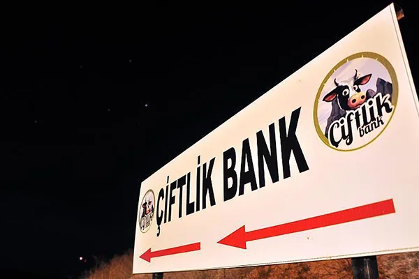 Çiftlik Bank'ın 'sosyal medya sorumlusu' yakalandı