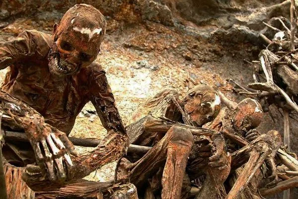 Dünya'da 800'den fazla dilin konuşulduğu ülke...
