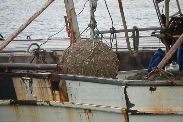 Foça'da balıkçı ağına takılan mayın incelemeye alındı