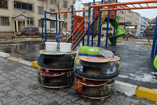 Hurda lastikler kedilere yuva oldu